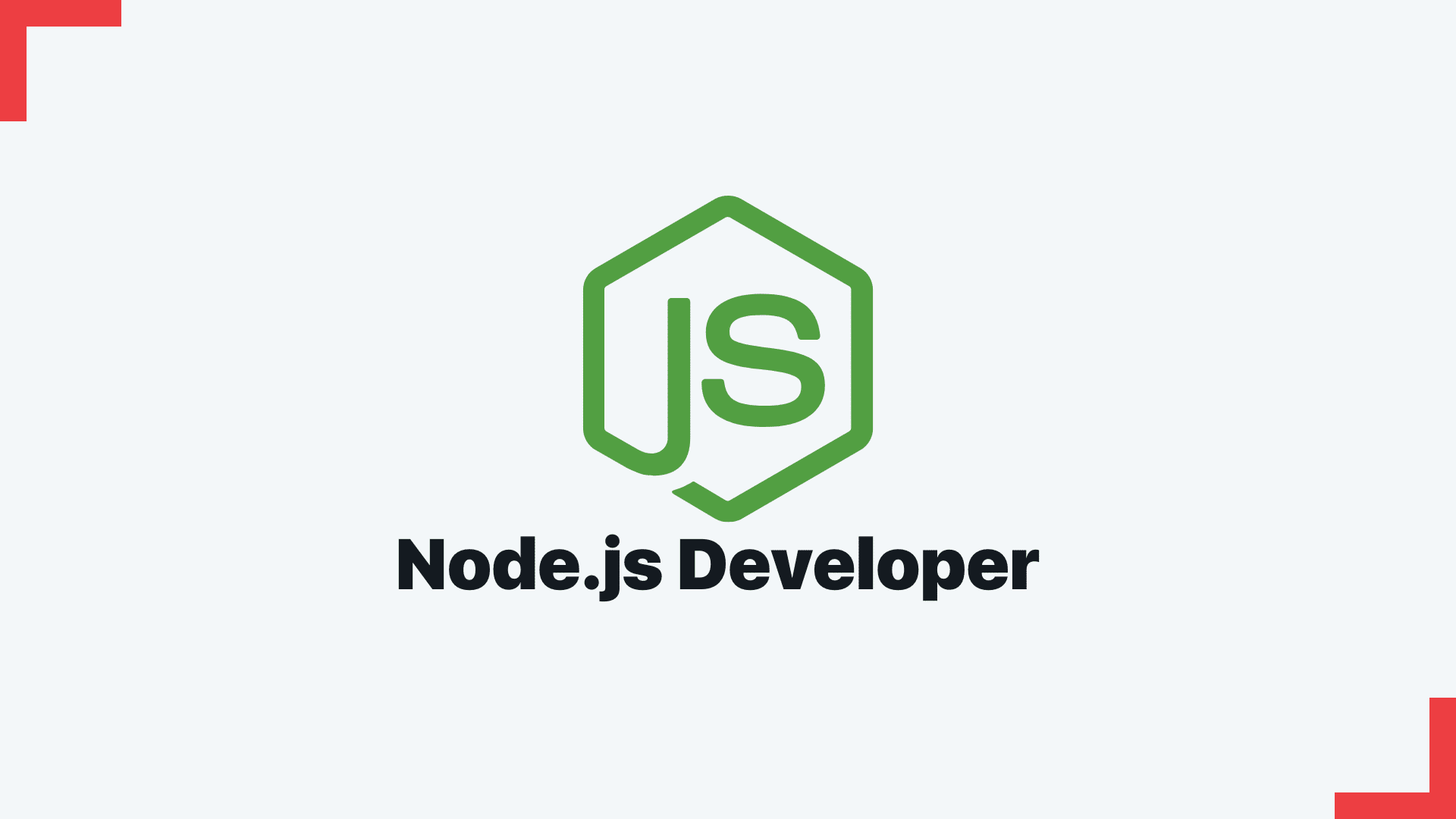 Node.js Developer