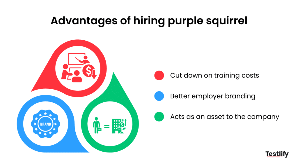 Hiring purple squirrel benefits