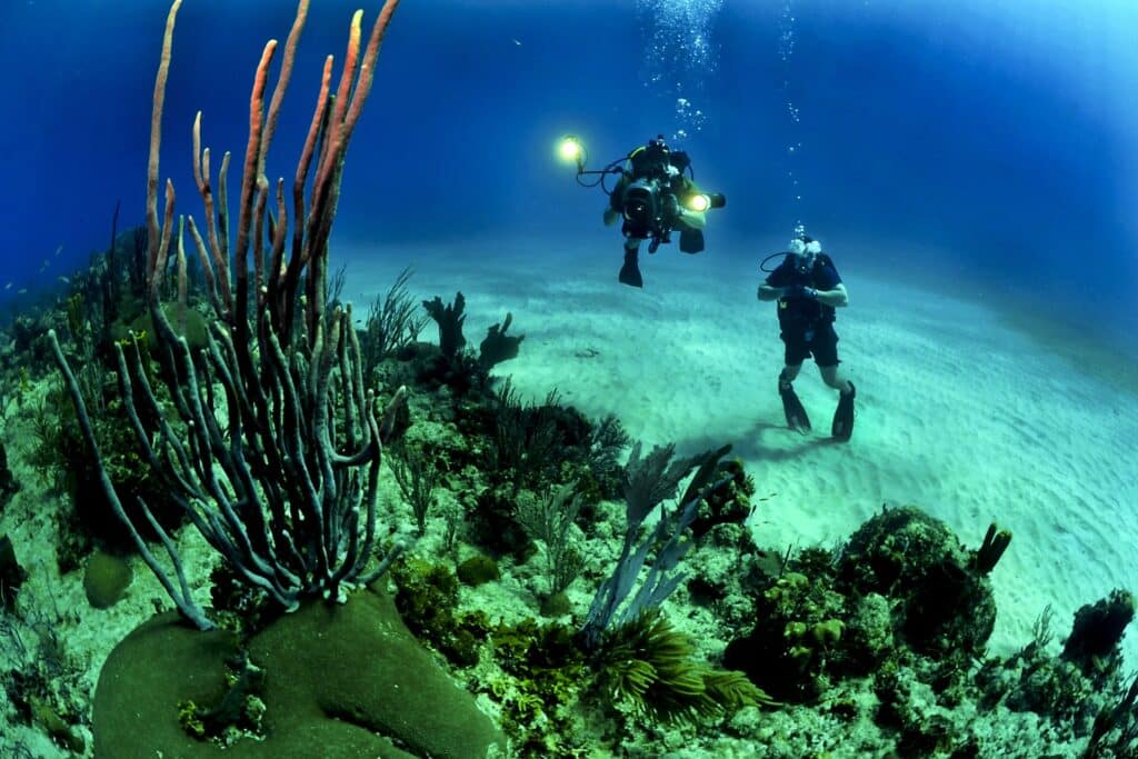 How to hire a commercial diver