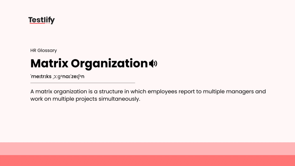 Image showing the meaning of matrix organization