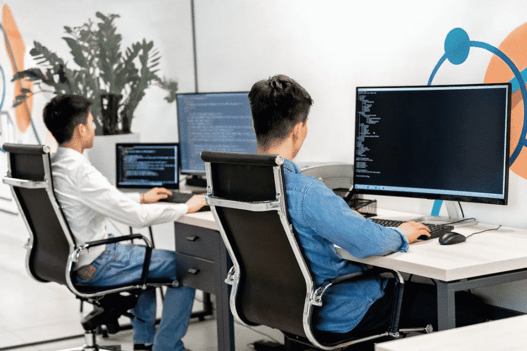 Full-stack developer