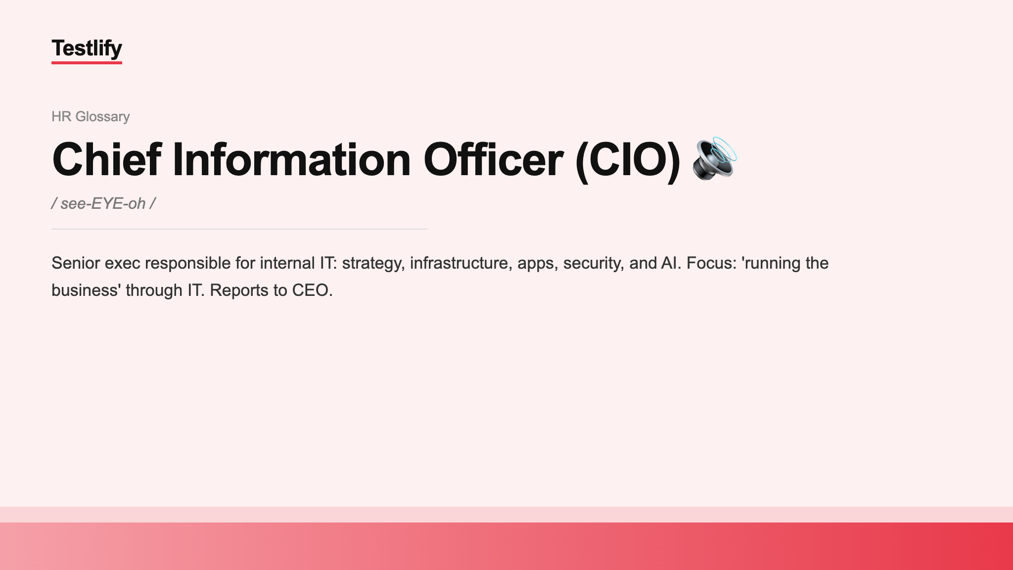 Image showing the meaning of Chief Information Officer (CIO)